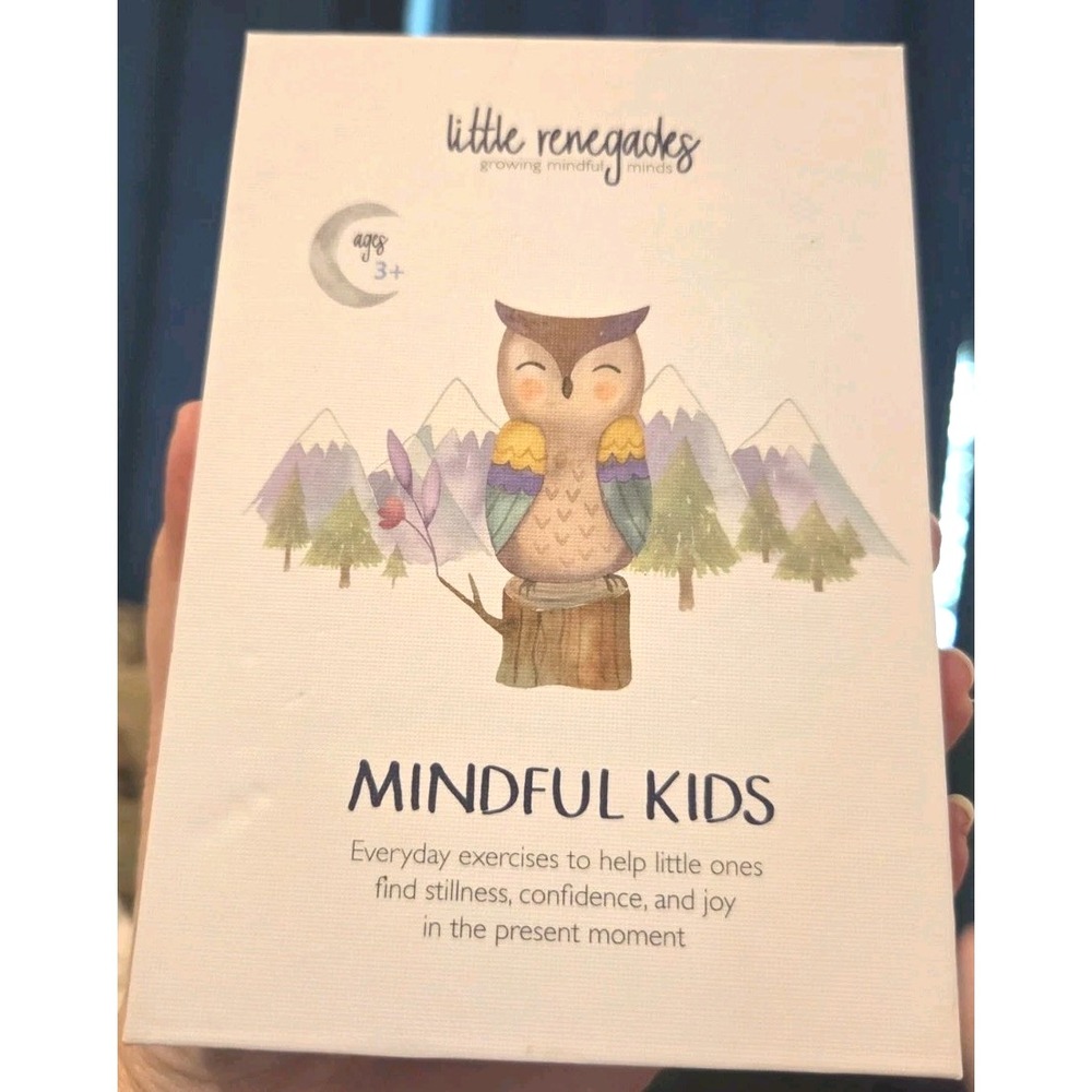 Little Renegades-  Mindful Kids Guided Meditation Cards Educational Montessori